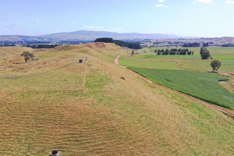 80922 State Highway 2 Pahiatua_14