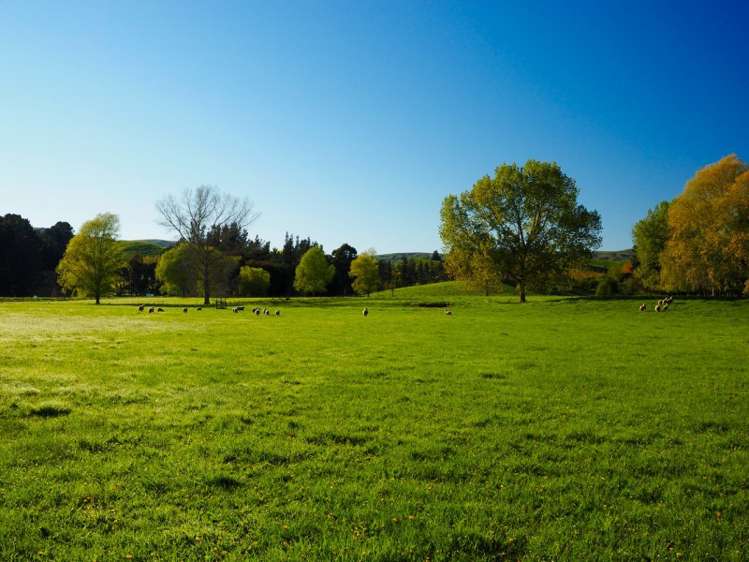 13 Factory Road Cheviot_19