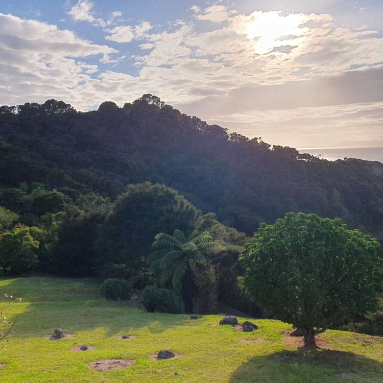 15 Kowhai Place Tuateawa_12