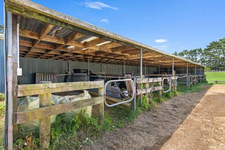 287 Taurangaruru Road Waiuku_28