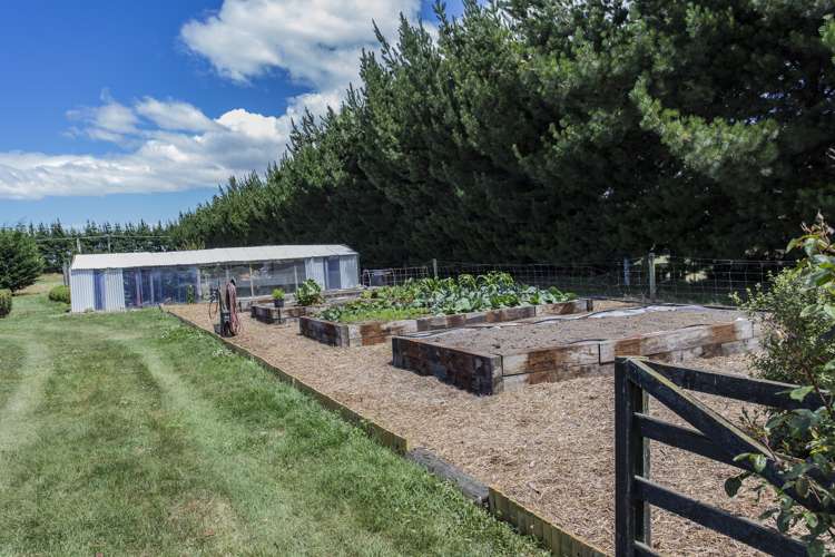 2570 South Eyre Road West Eyreton_17