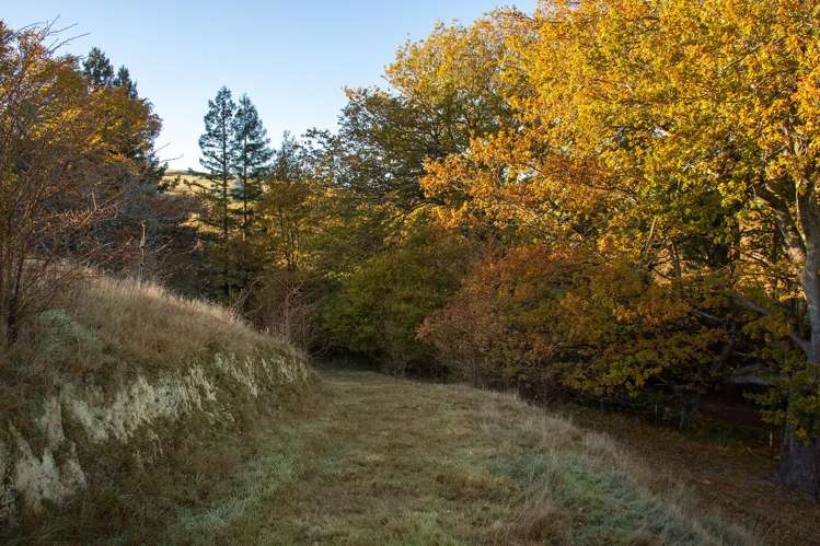 Lot 2 Bluff Rangitumau Road Masterton_9