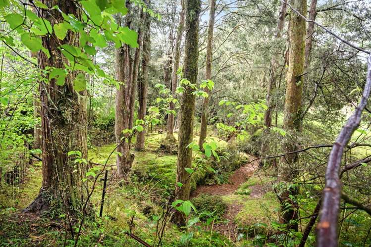 162 Upokorau   Road Kaeo_13