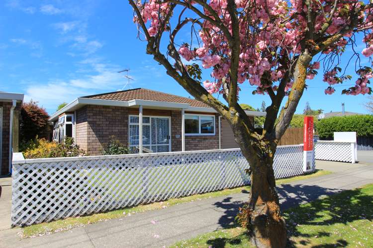 46a Mclauchlan Street Springlands_14