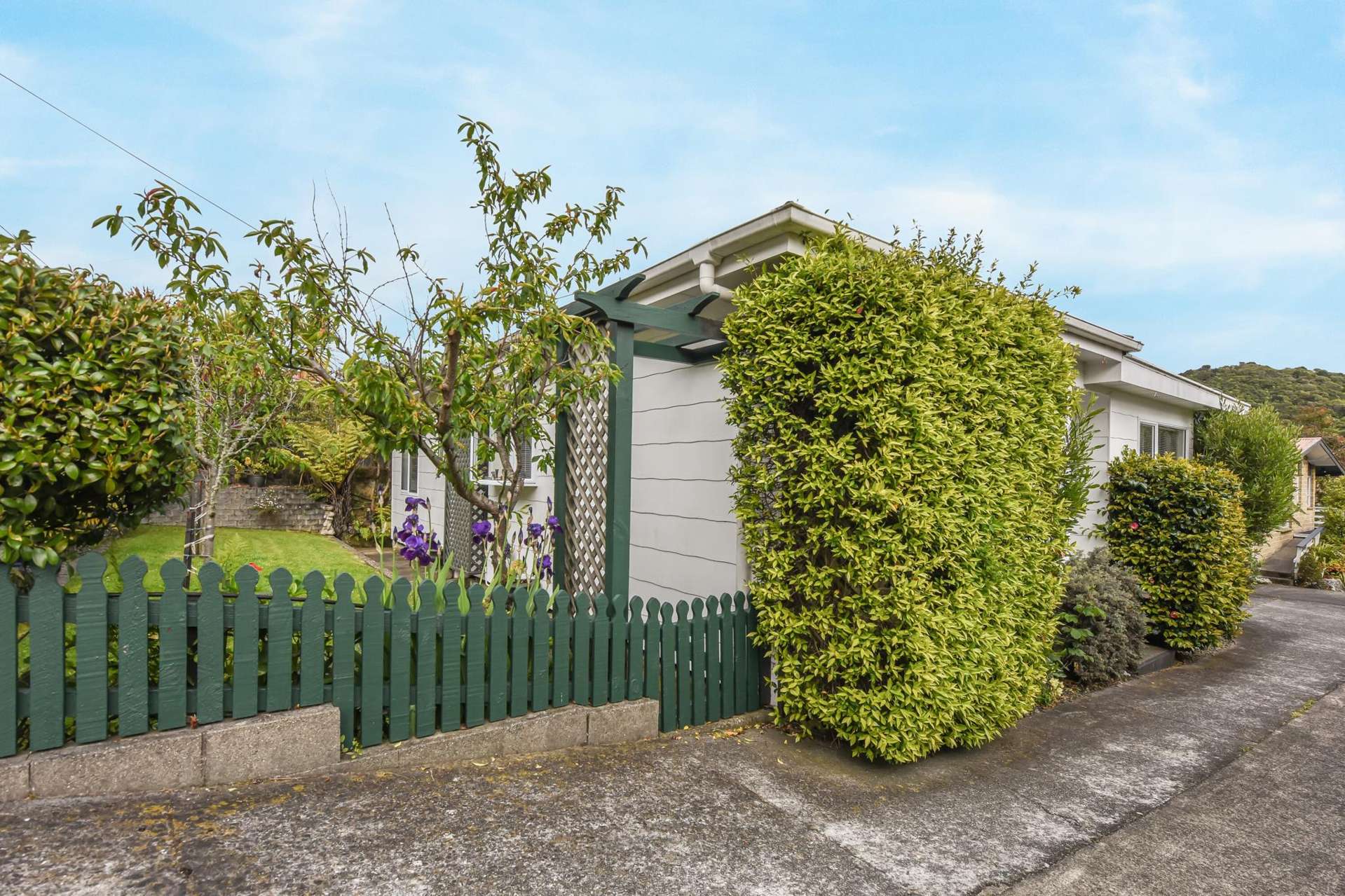 50a Milton Terrace Picton_0