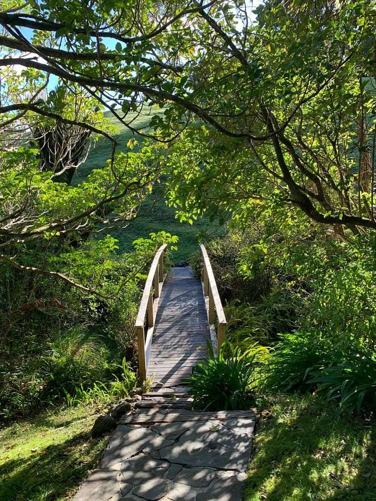 Address withheld Karekare_16