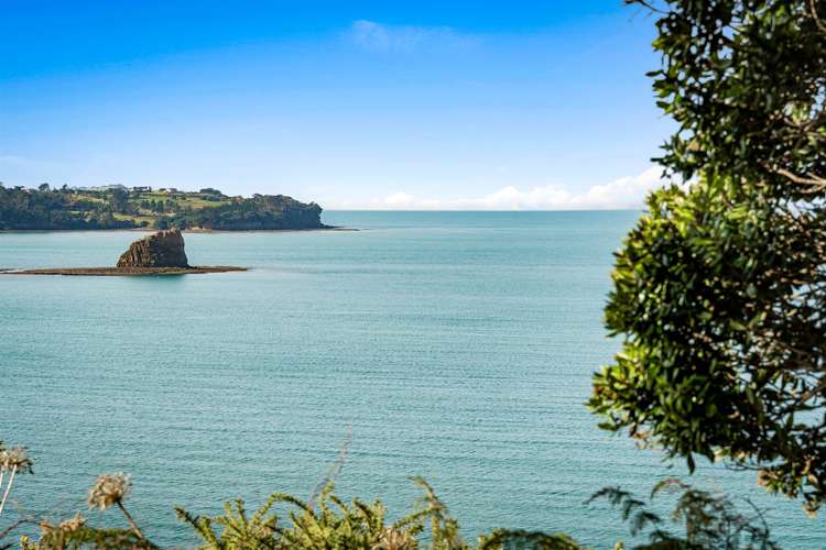 43 Tiri Road Manly_6