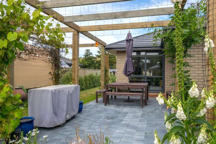 210 Taylor Pass Road Witherlea_16