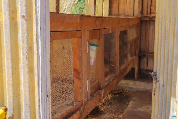 334 State Highway 7 Ikamatua_40