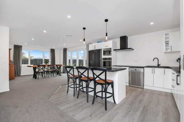28E Ashbury Drive Tinwald_1