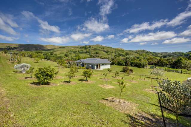 23 Waipuka Road Havelock North_3