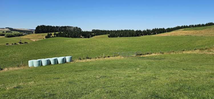 122 Middleton Road Waimahaka_20