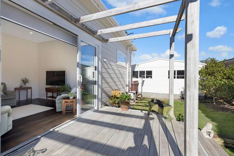 67 Devonshire Road Miramar_16