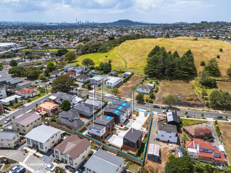16E Roseman Avenue Mount Roskill_7