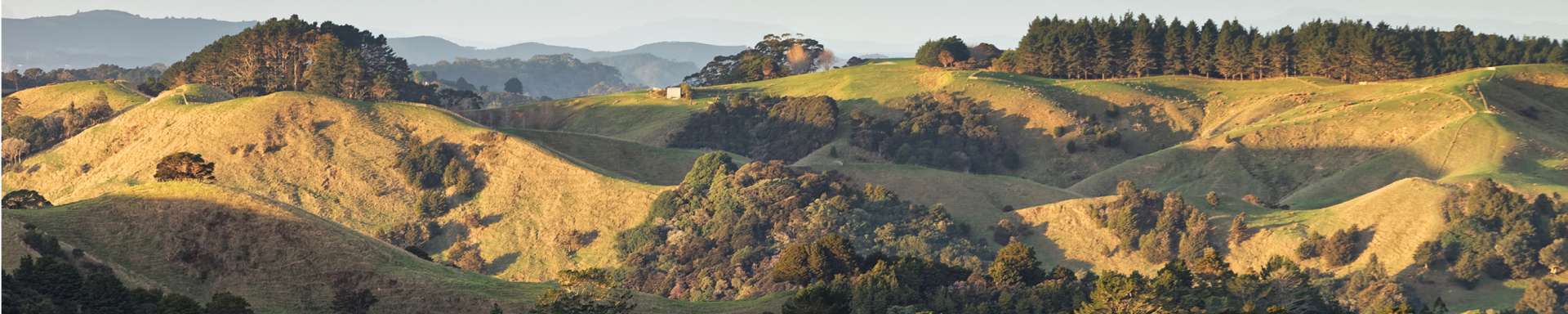 Ngapuke Road Kaukapakapa_0