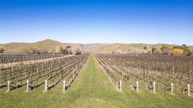 273 Paynters Road Fairhall_17