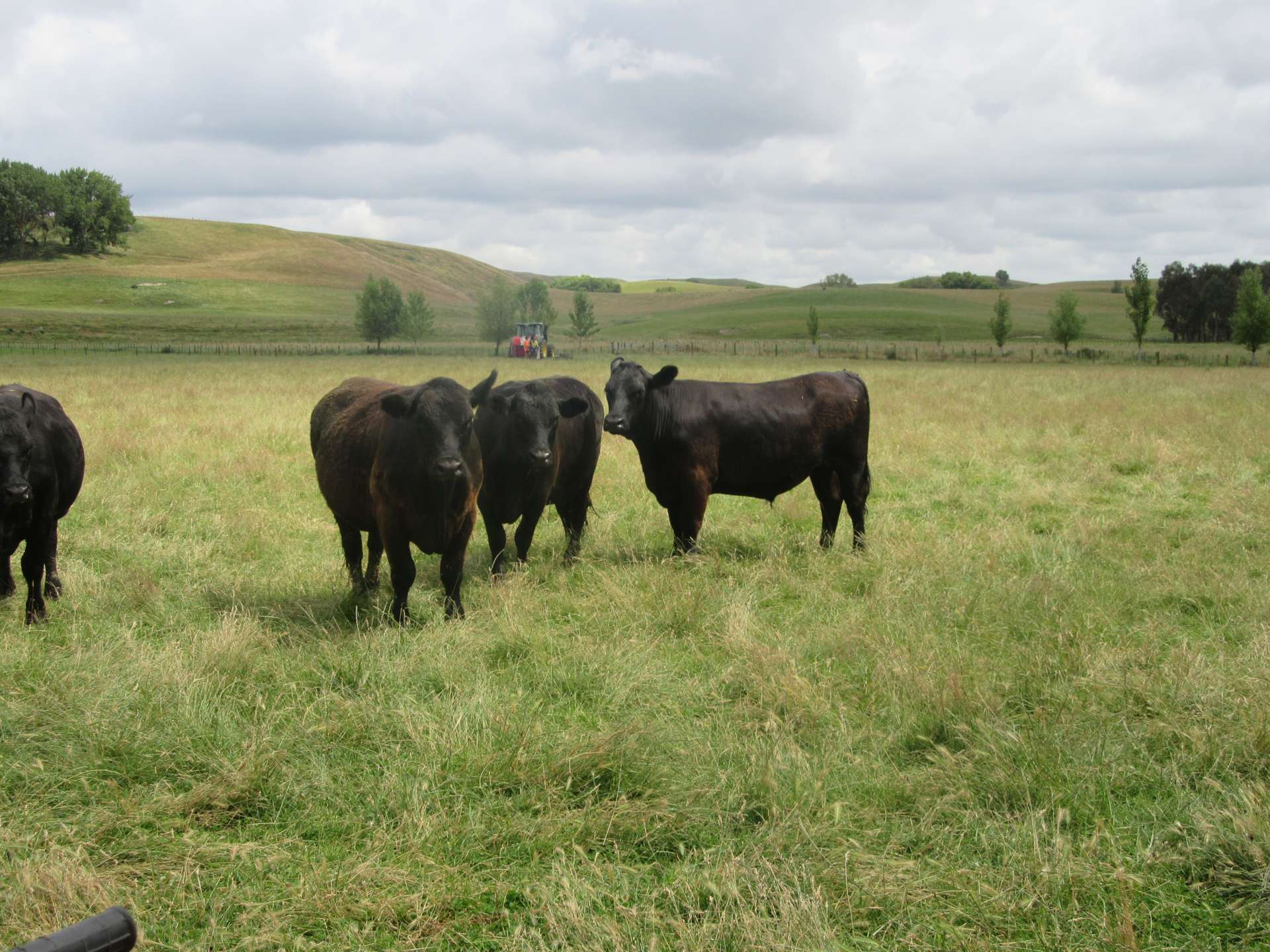 359 Mangatarata Road Hawkes Bay_0