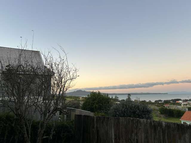 57 Te Arawa Street (furnished short term) 1743_2