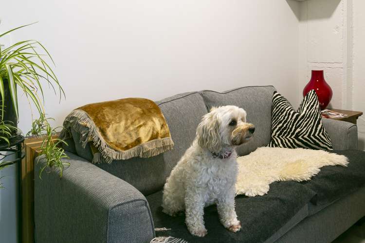 105/33 Frederick Street Te Aro_13