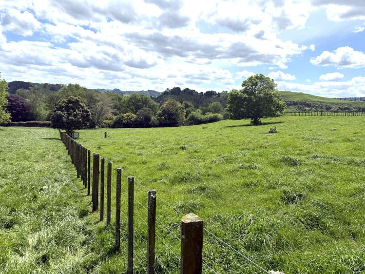 128 Taotaoroa Road_3