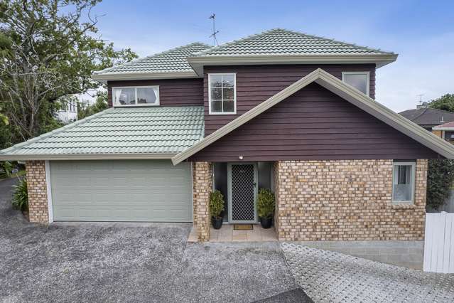 162a Melrose Road Mount Roskill_1