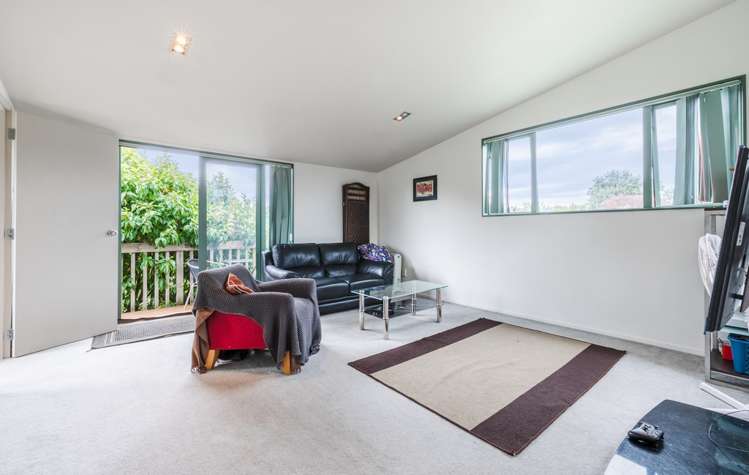 19a Arran Street Avondale_7