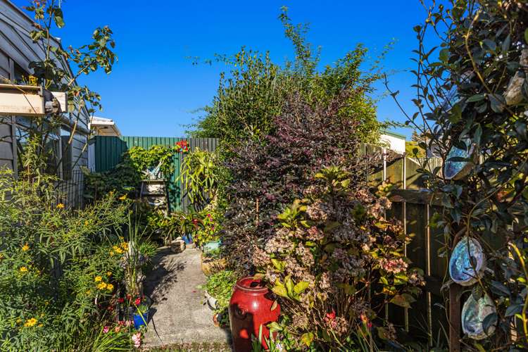 53a Kowhai Avenue Edgecumbe_17
