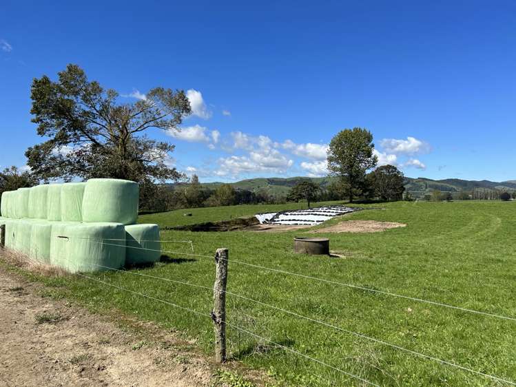 120 Pamotumotu Road Maihiihi_26