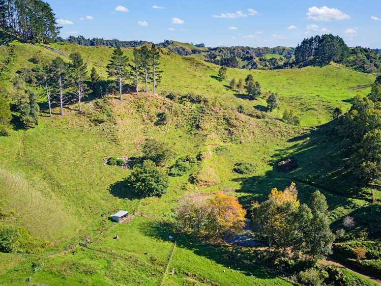 822 Motukawa Rd Inglewood_14