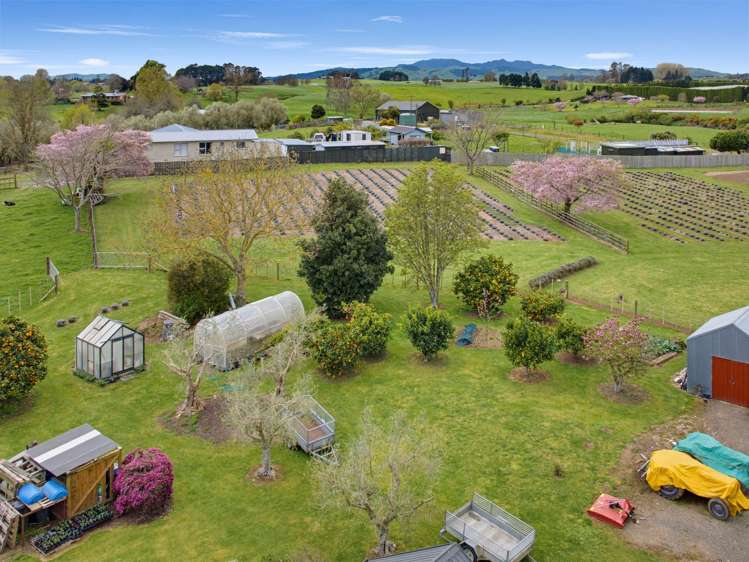169 Brotherhood Road Kihikihi_25