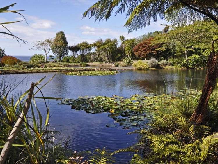 205 Pumpkin Hill Road Pumpkin Hill_6