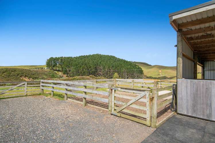 15a Slater Road South Head_28