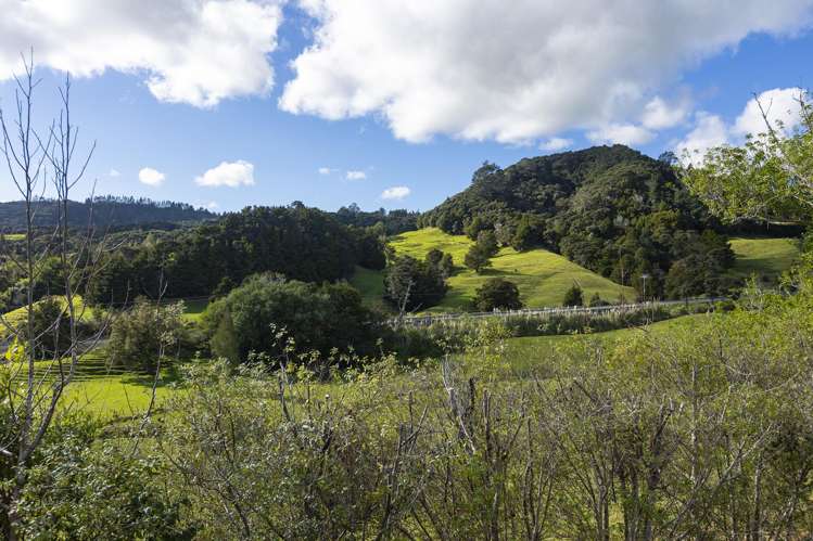 10 Green Lane Access Kaeo_30