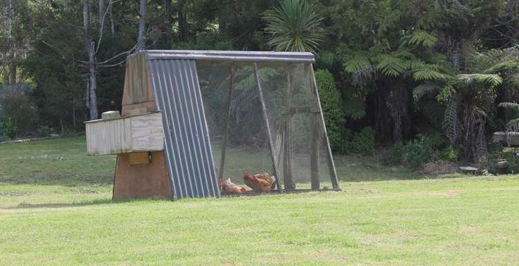 35c Tyree Road Kerikeri Surrounds_15