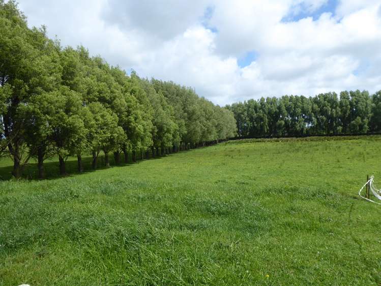 237 Kellow Road Rongotea_7