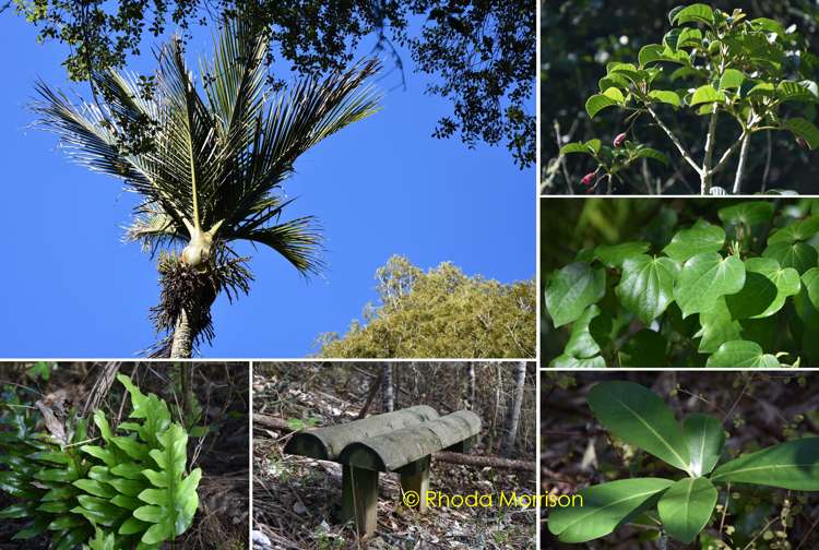 229 Pahi Road Paparoa_29