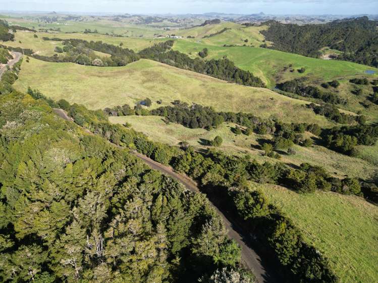 583 Lusk Road Ruawai_17