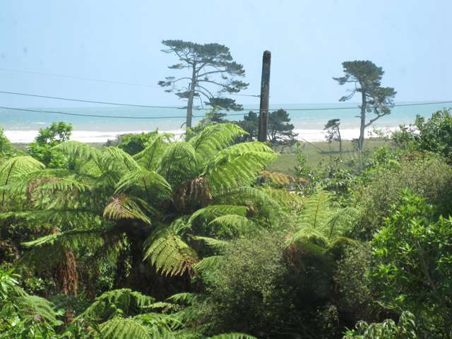 36 Horncastle Crescent Kahurangi National Park_1