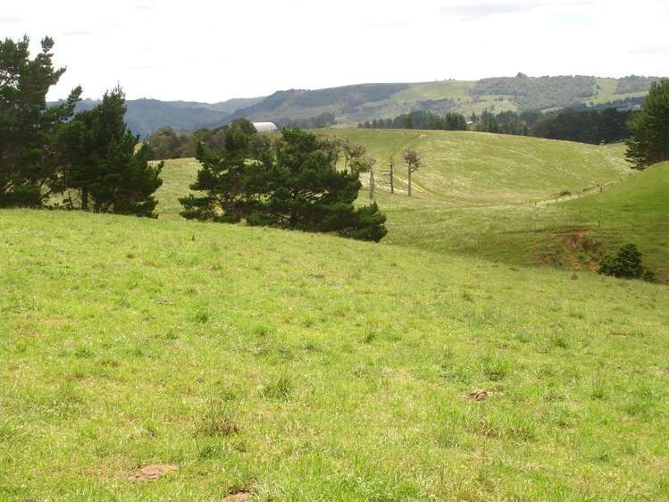 361 Kaiikanui Road Hukerenui and Surrounds_16