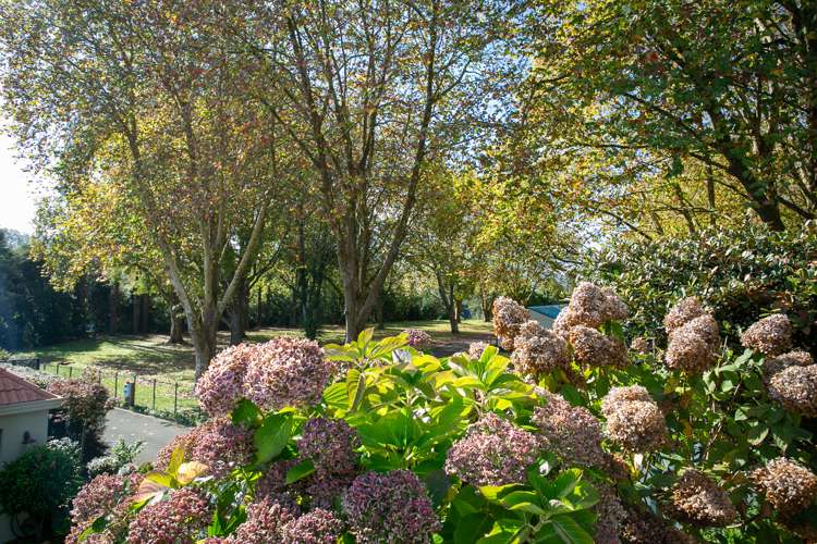 15 Pope Terrace Leamington_14