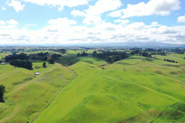 315 Halcombe Road Feilding_4