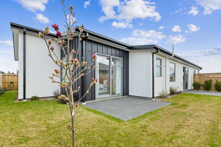 16 Sarah Nicholls Street Belfast_11