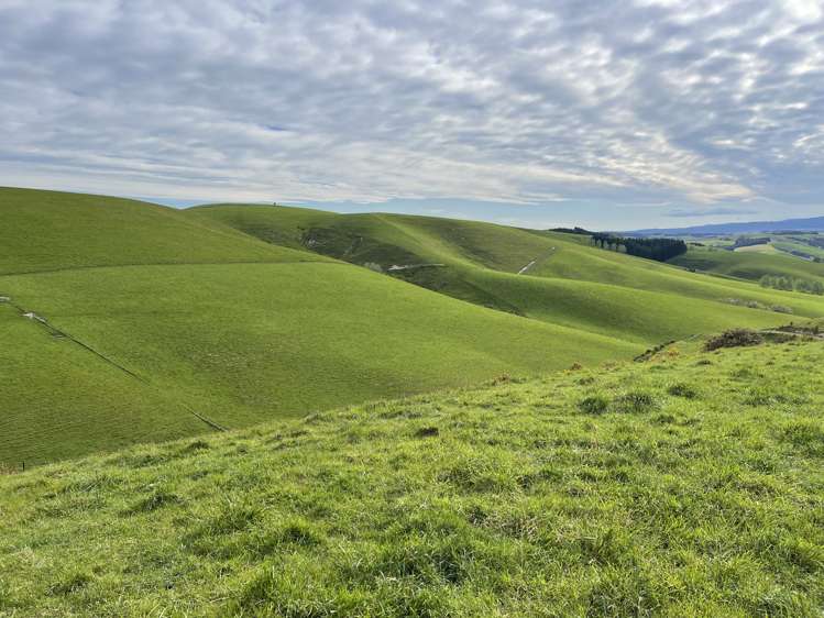 186 Murray Road Lawrence_11