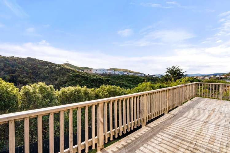 14 Carmichael Street Johnsonville_18
