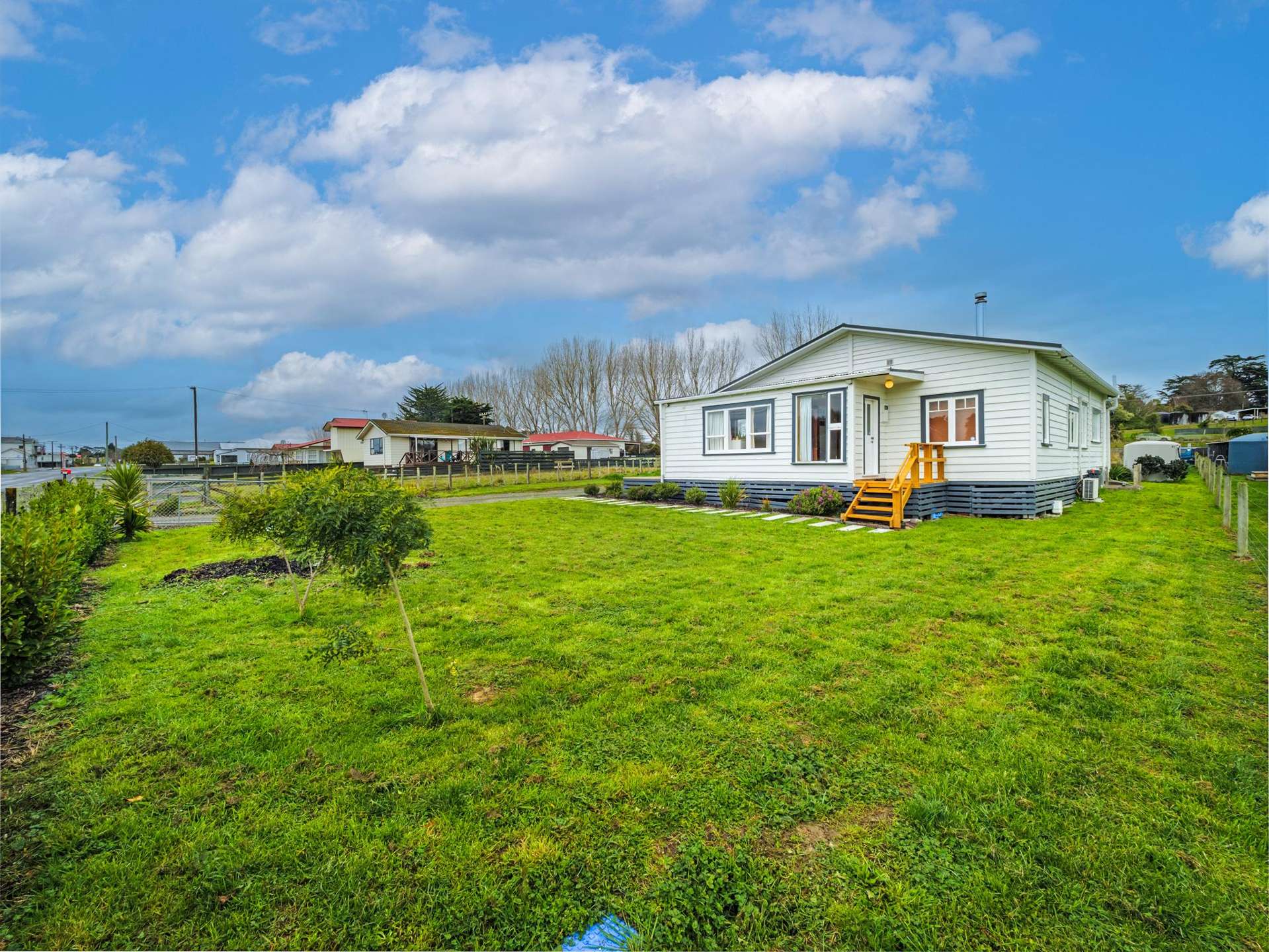 91 Willoughby Street Halcombe_0