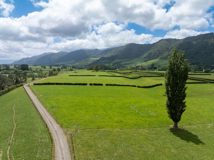 1387 Old Te Aroha Road, Okauia Matamata_16