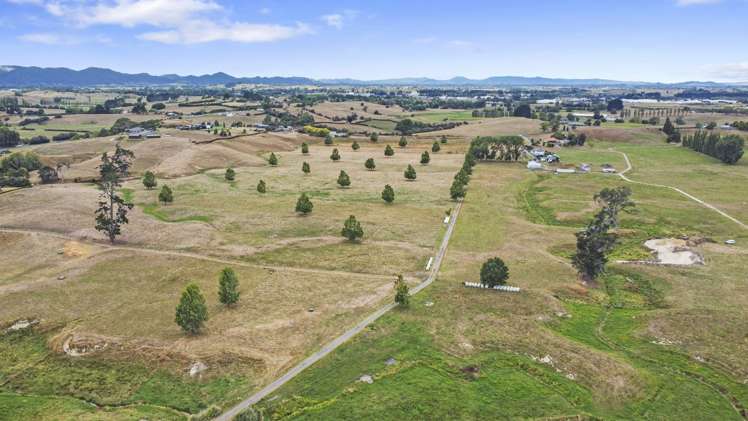 56 Onion Road Te Kowhai_4