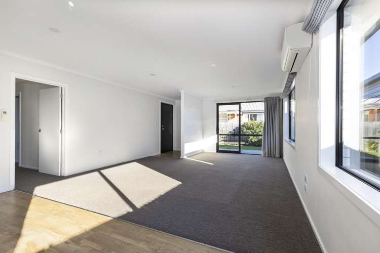 1b Meachen Crescent Blenheim Central_9