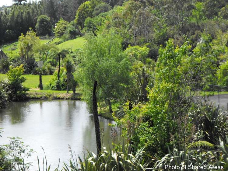 35 Alderton Drive Kerikeri_5