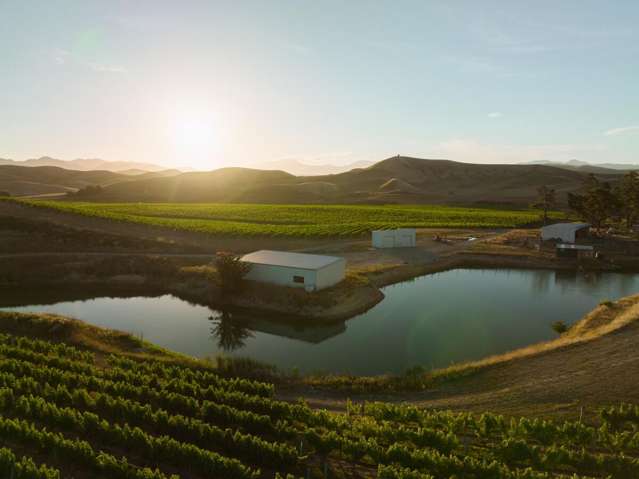 Awatere Vineyard with Storage